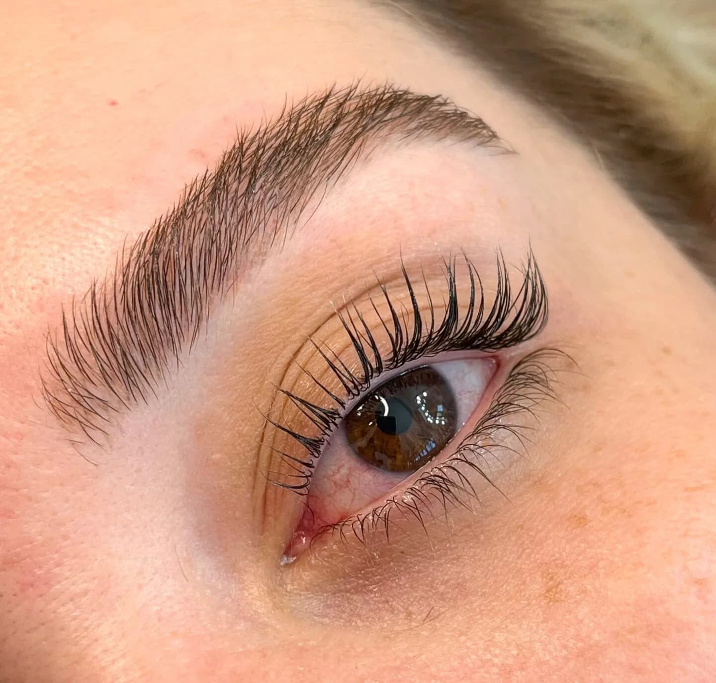 Lash Love